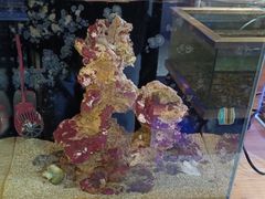 -趣陶陶艺手工坊(新世界百货重庆店)