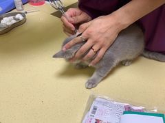 -乖乖宠物医院·猫科·急重症中心(车站北路分院)