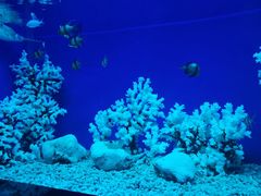 -乌鲁木齐海洋馆