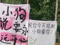 -爪吧宠物乐园 (温榆河示范区店)