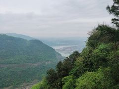 -铁山坪森林公园