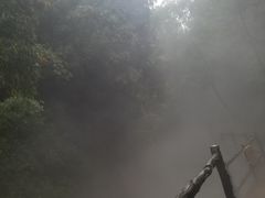 -川西竹海景区