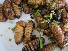 -华龙特色大骨鸡农家菜馆