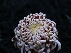 -汇龙潭