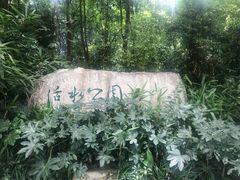 -成都市活水公园