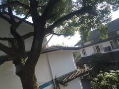 -青花餐厅(雅谷泉山庄酒店)
