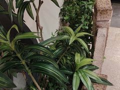 -遇见长安之丝路风荷(大唐西市店)