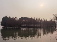 -苏州太湖国家湿地公园