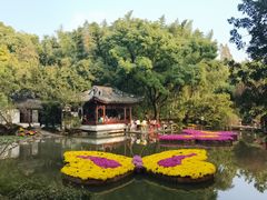 -汇龙潭