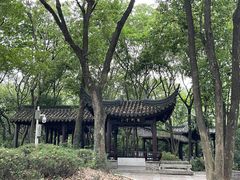 -上海佘山国家森林公园天马山园