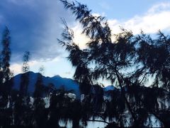 -大埔公路-马料水段香港中文大学(公交站)