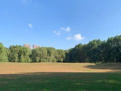 -长白岛森林公园