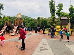 -枫香湖儿童公园