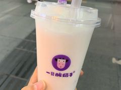 -一只酸奶牛(八一路店)