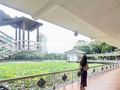 -荔湾湖公园