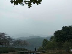 -森波拉火山温泉