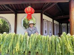 -东梓关景区村庄