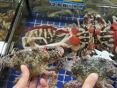 -明记海鲜大排档(巽寮湾店)
