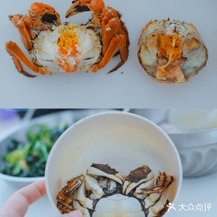 秋天的第一只大闸蟹💥满满的蟹膏终于来了‼️