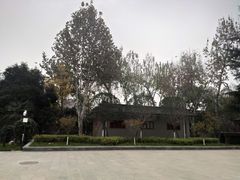 -莲湖公园