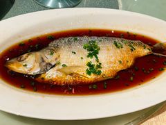 鸡油红汤蒸鲥鱼-喜来登由由大酒店九州膳坊中餐厅