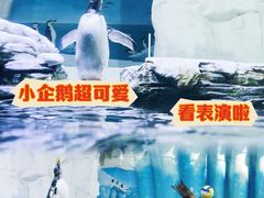 -华夏文旅西安度假区