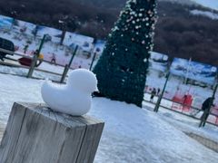 -太子岭滑雪场