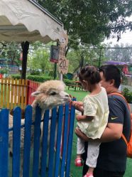 -萌宠亲子动物乐园(槐房万达店)