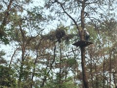 -芦仙山景区-飞越丛林探险乐园