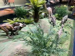 -柳州白莲洞洞穴科学博物馆