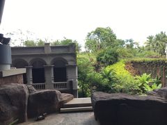-万绿园