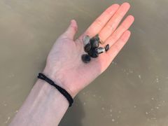 -天津东疆湾沙滩景区