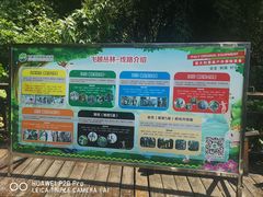 -天鹿湖森林公园