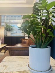 -南京医科大学友谊整形外科医院