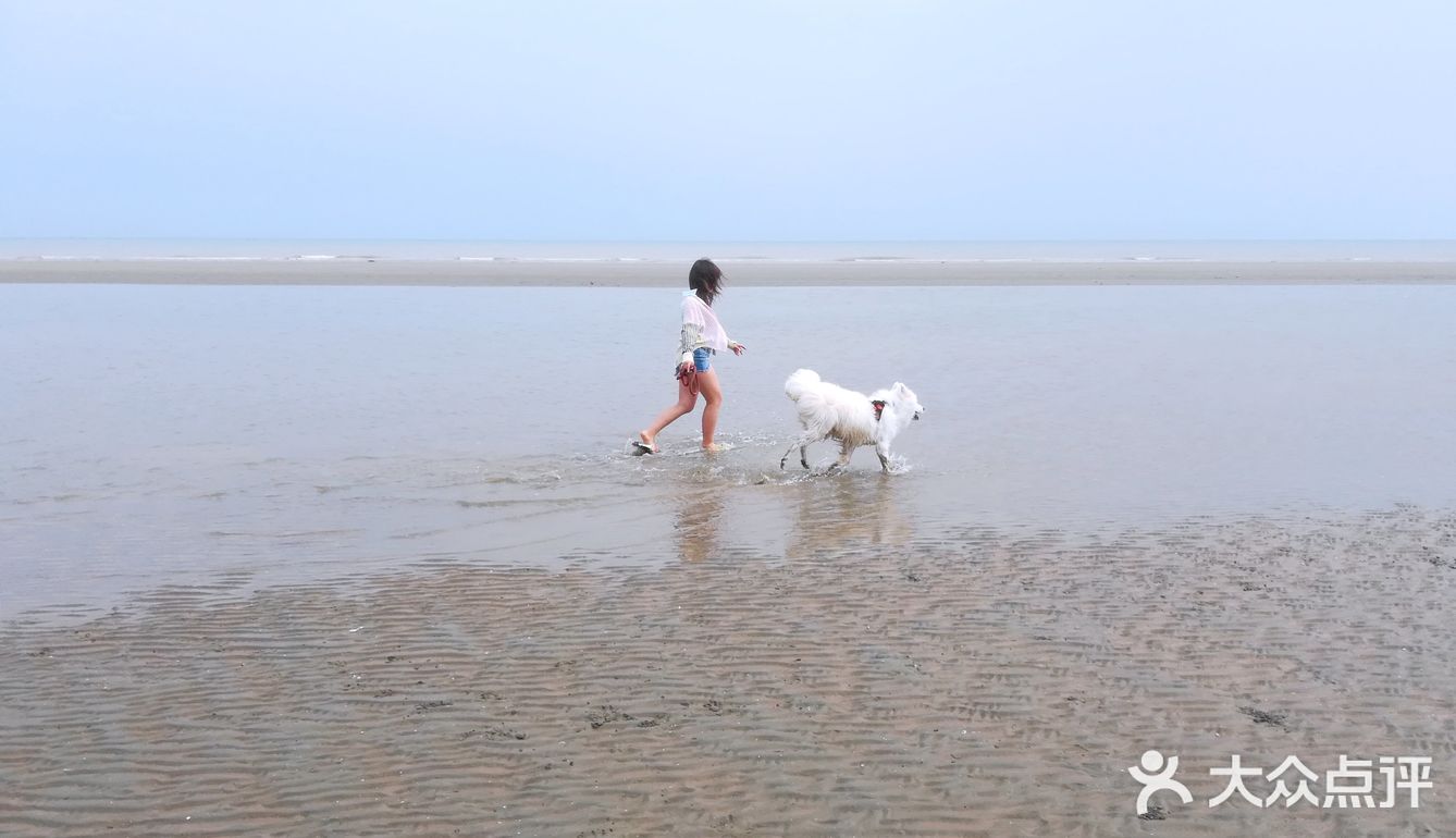 说走就走🌞拖家带狗🐶