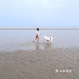 说走就走🌞拖家带狗🐶