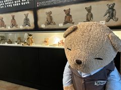 -济州岛泰迪熊博物馆