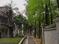 -荔湾湖公园