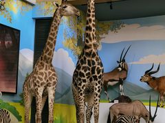 -陕西自然博物馆