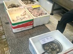 海鲜-新享乐海鲜(翠华路店)
