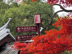 -岳麓山风景名胜区