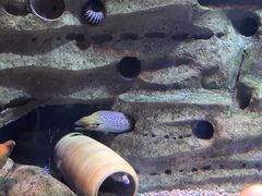 -石家庄市动物园