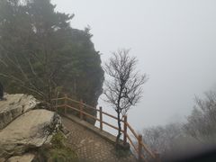 -牛背梁国家森林公园