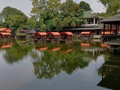 -侨美·唐荔园·40年地道粤菜