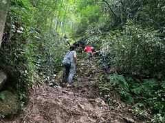 -西岭雪山大飞水景区