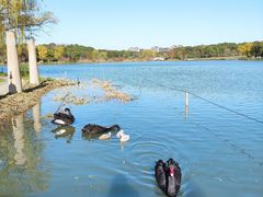 -昆山城市生态森林公园