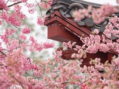 -东湖生态旅游风景区