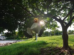 -宝安西湾红树林湿地公园