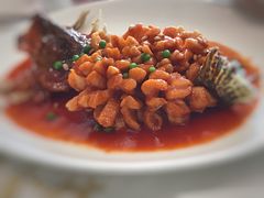 松鼠桂鱼-上海会馆(香港名都店)