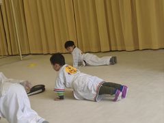 -勇气斑马·巴西柔术&跆拳道(浦东三林店)